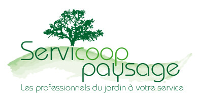 Servicoop Certificaiton